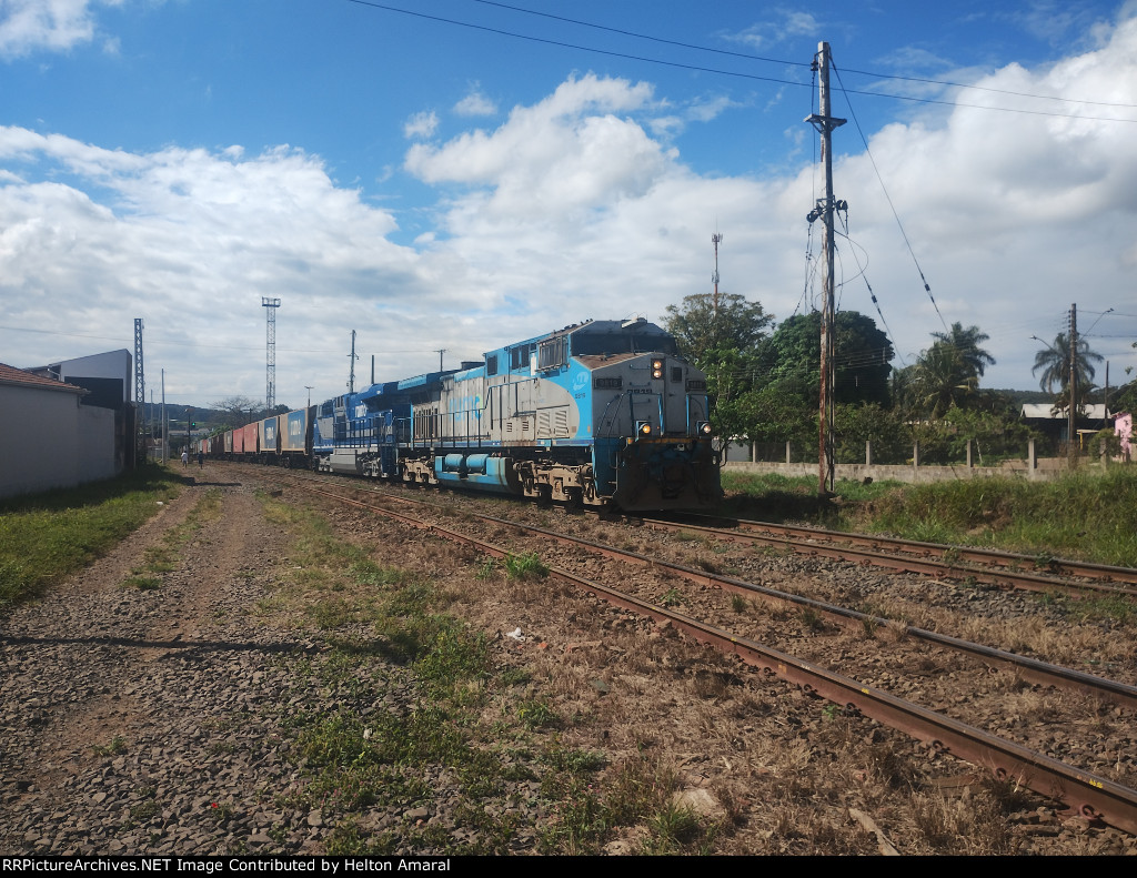 RUMO 9819